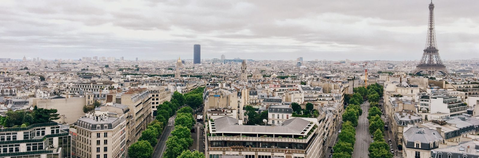 Association De La Culture Française