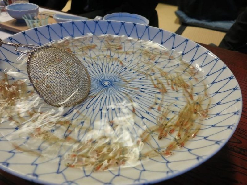  “Shirouo no Odorigui” – món cá biết múa(白魚の踊り食い ～踊る魚の料理～)