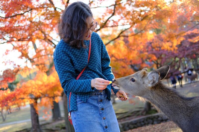 LẠI THỊ HẠNH -東京のコンサルティング会社のコンサルティングセールス-