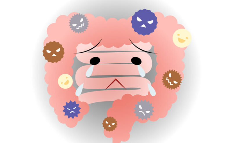 HIỂU VỀ KHÁI NIỆM MỚI MANG TÊN “HỘI CHỨNG RÒ RỈ RUỘT” TẠI NHẬT – PHẦN 2 (「腸漏れ・リッキーガット症候群」について　②)